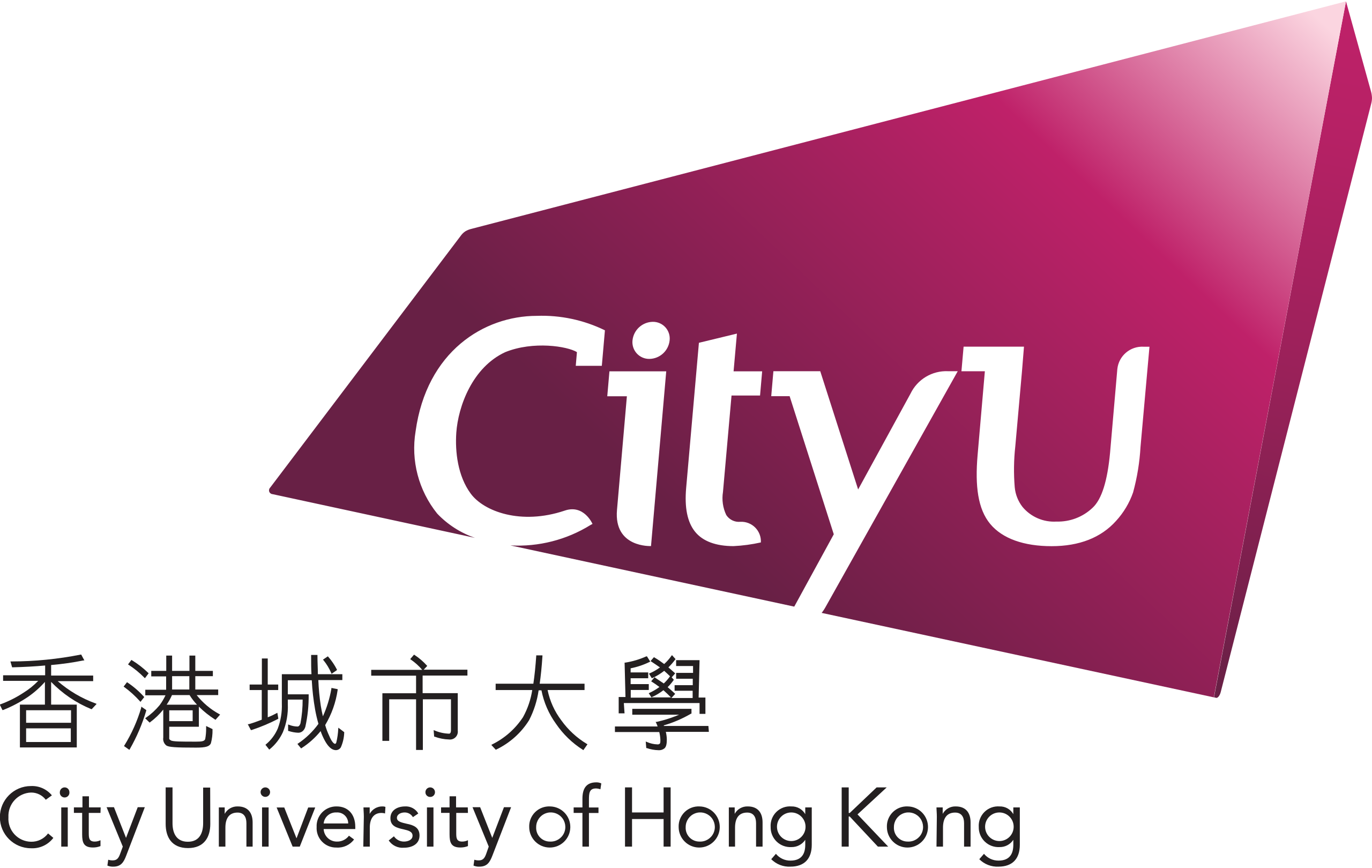 <small> City University of Hong Kong </small>